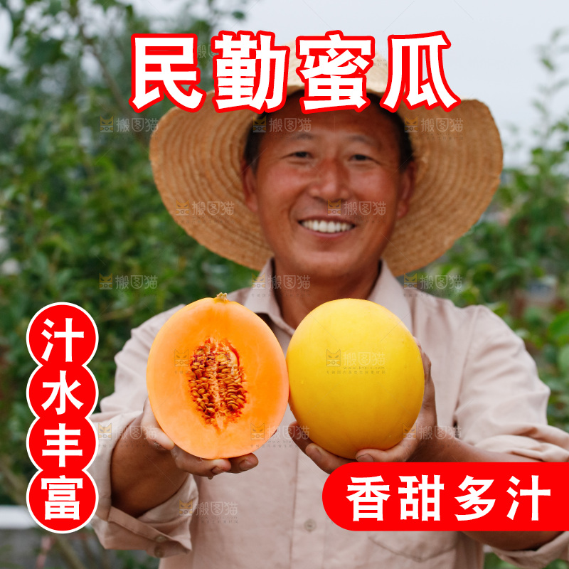 手里拿着的黄河蜜瓜