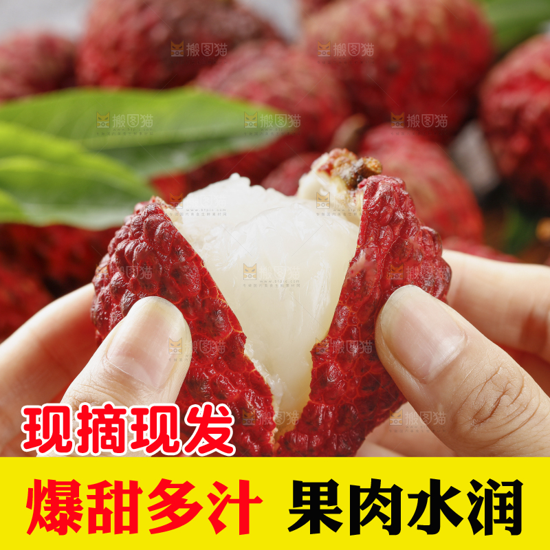 深底上的荔枝王