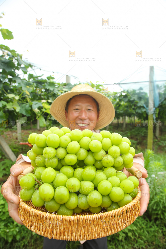 手里拿着阳光玫瑰