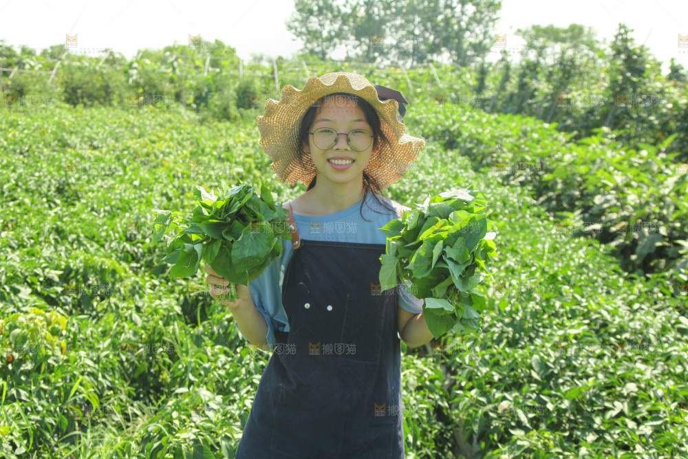 手里拿着苕尖