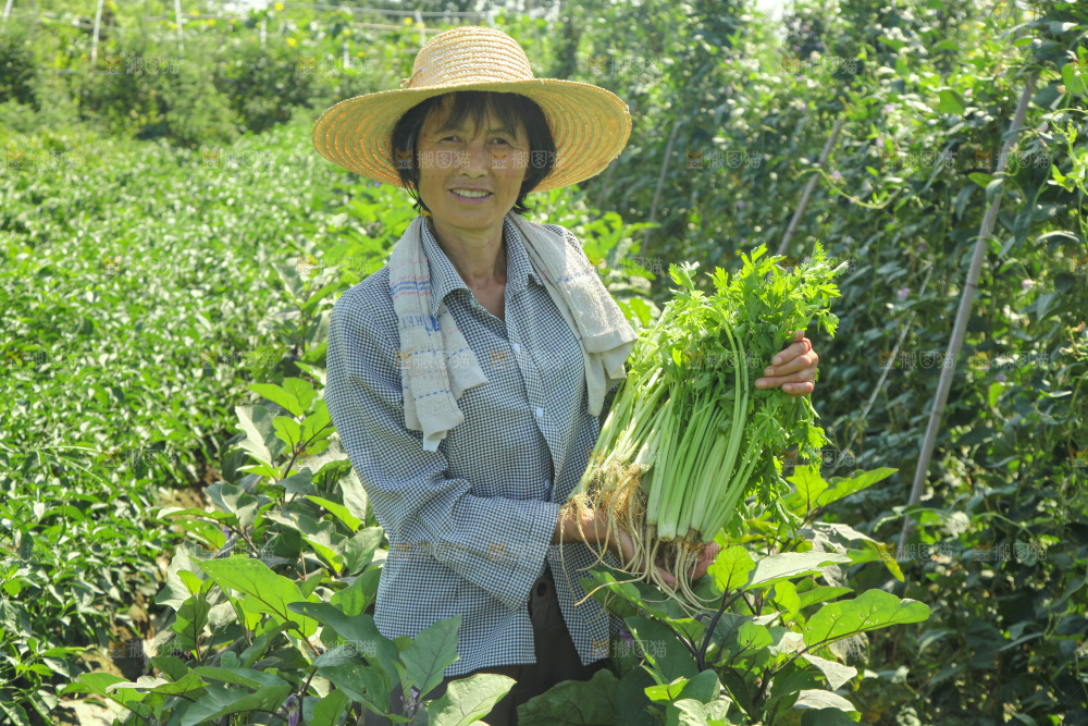 手里拿着新鲜芹菜