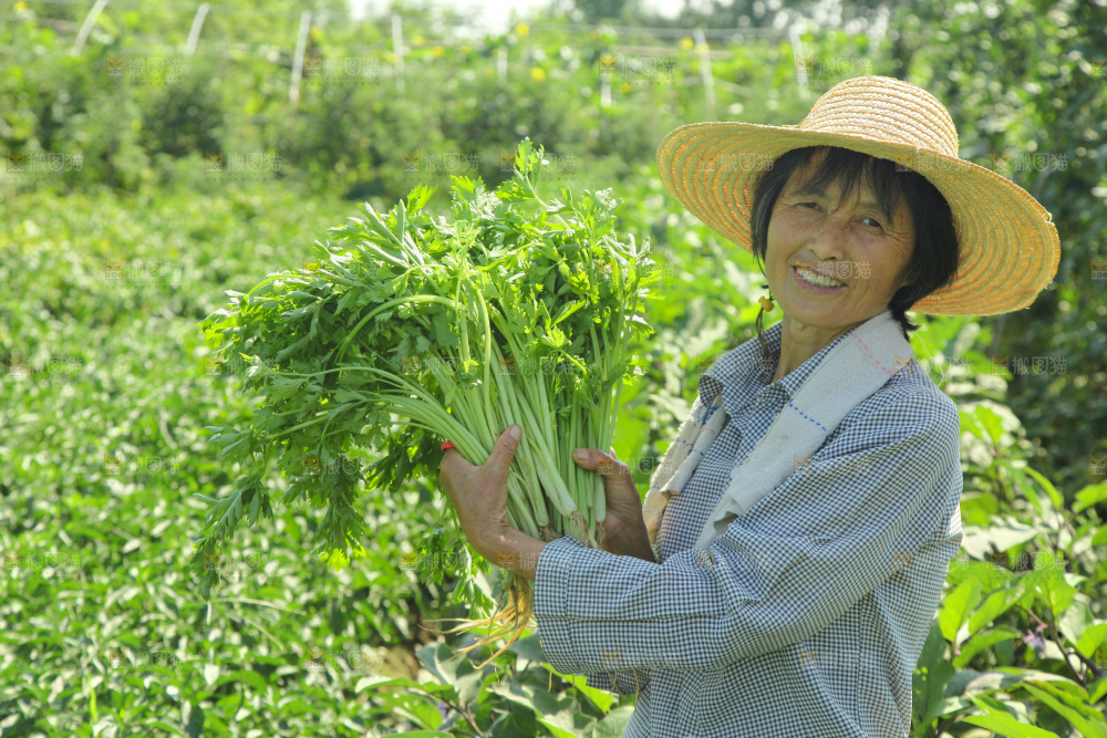 手里拿着新鲜芹菜