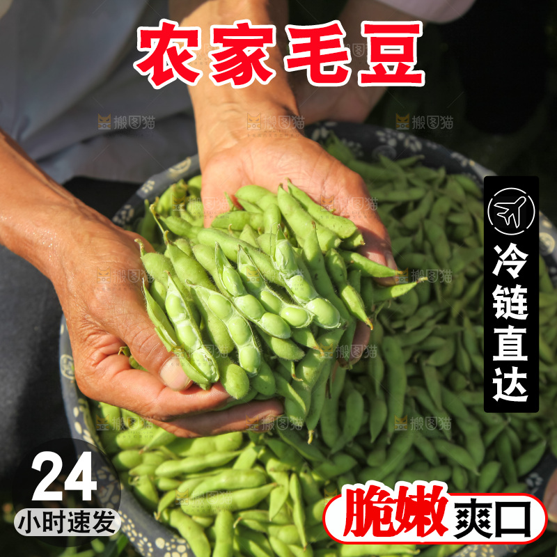 手里拿着现摘毛豆