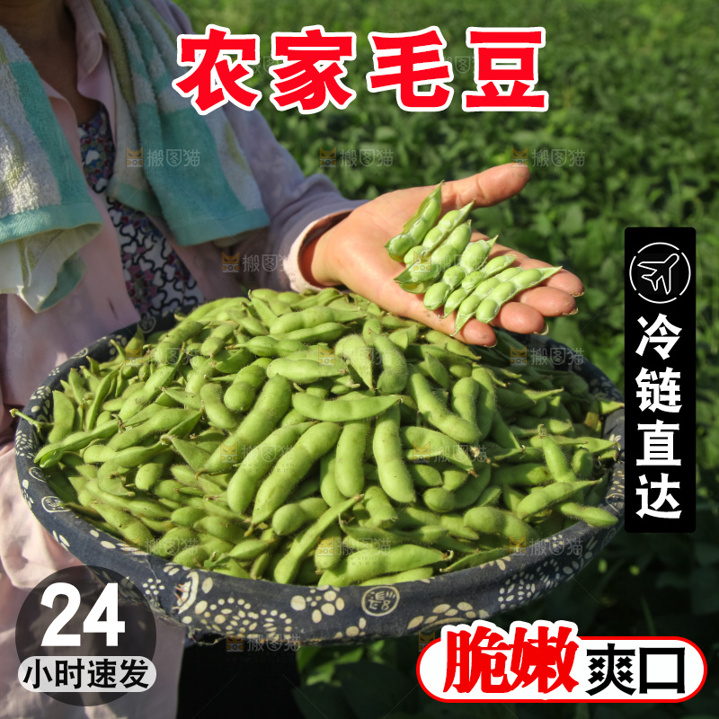 手里拿着现摘毛豆