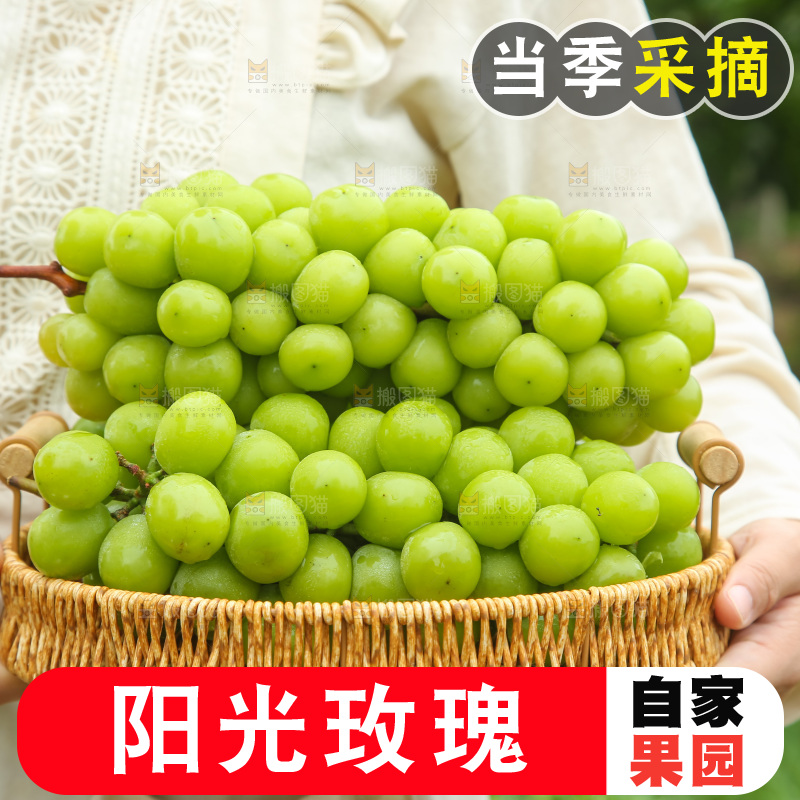手里拿着阳光玫瑰