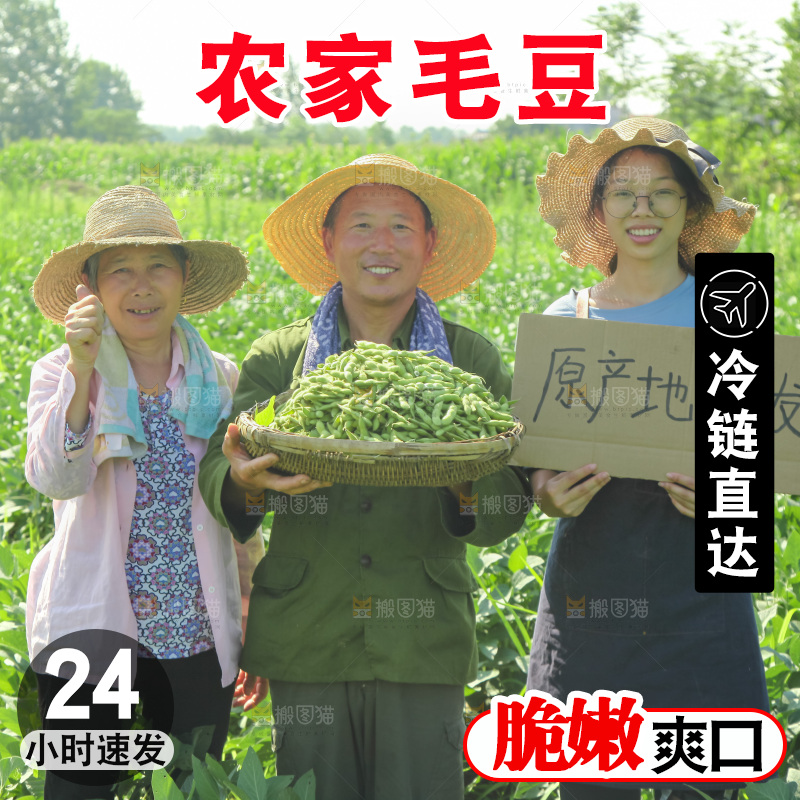 手里拿着现摘毛豆