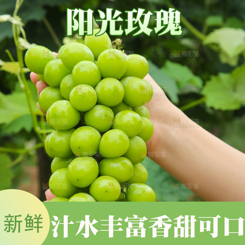 手里拿着阳光玫瑰