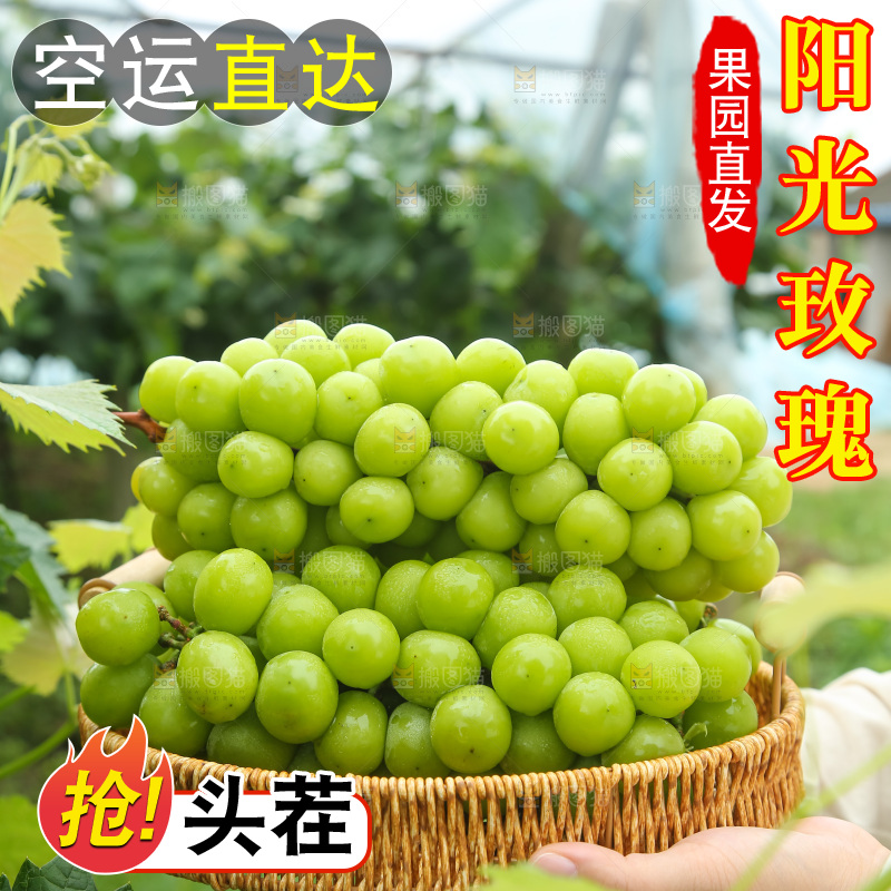 手里拿着阳光玫瑰