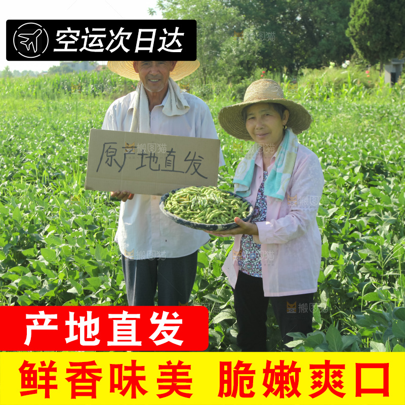 手里拿着现摘毛豆