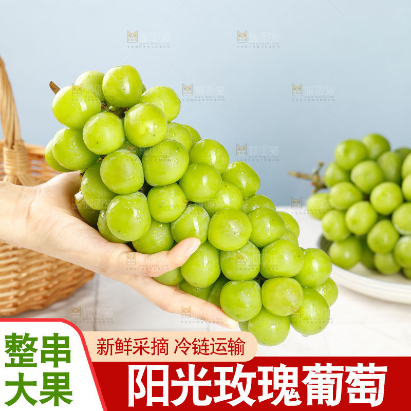 浅底上的阳光玫瑰青提