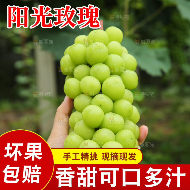 手里拿着阳光玫瑰