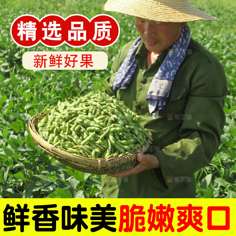 手里拿着现摘毛豆