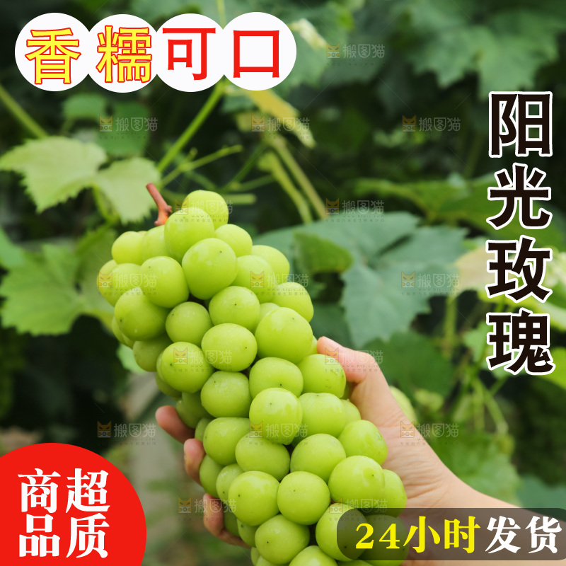 手里拿着阳光玫瑰