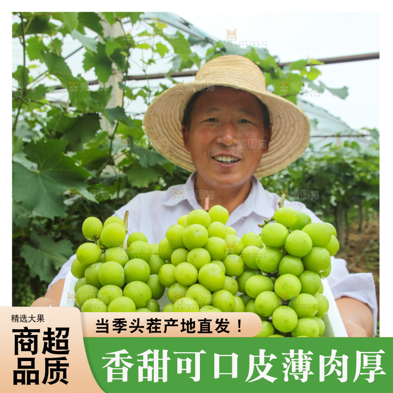 手里拿着阳光玫瑰