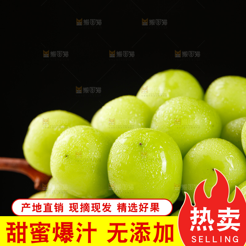 浅底上的阳光玫瑰青提