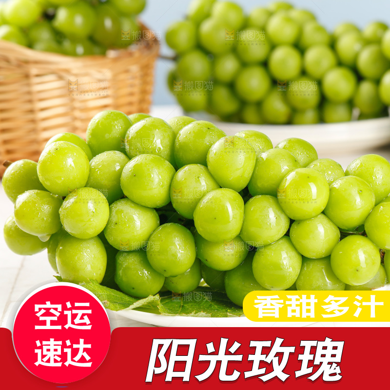 浅底上的阳光玫瑰青提