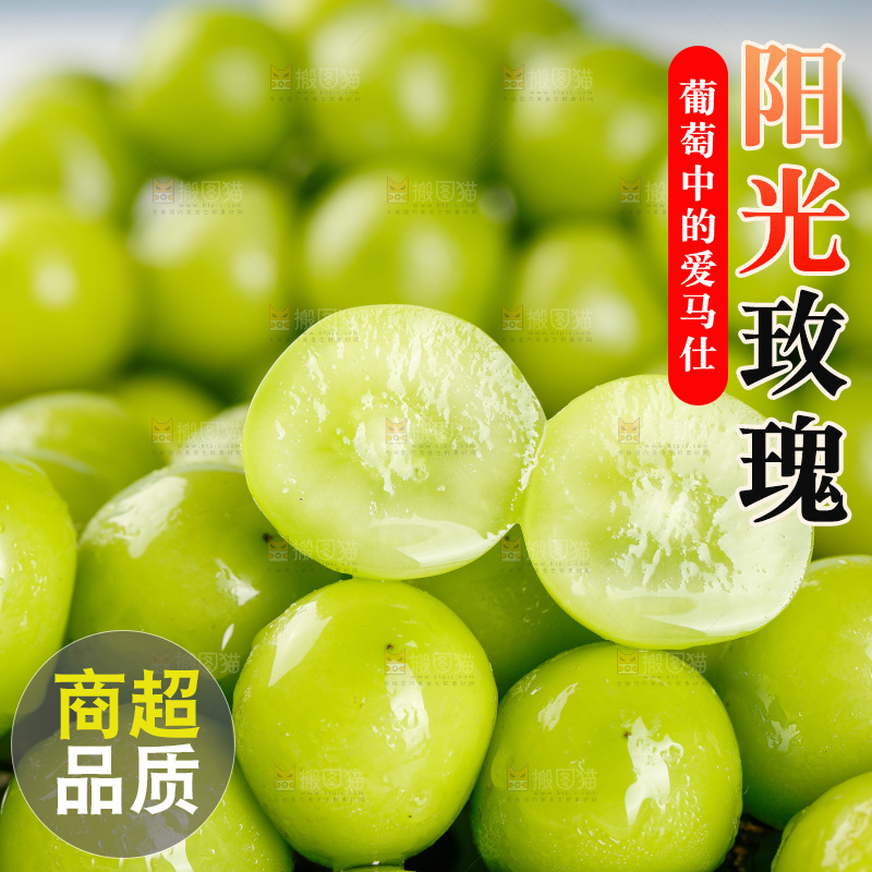浅底上的阳光玫瑰青提