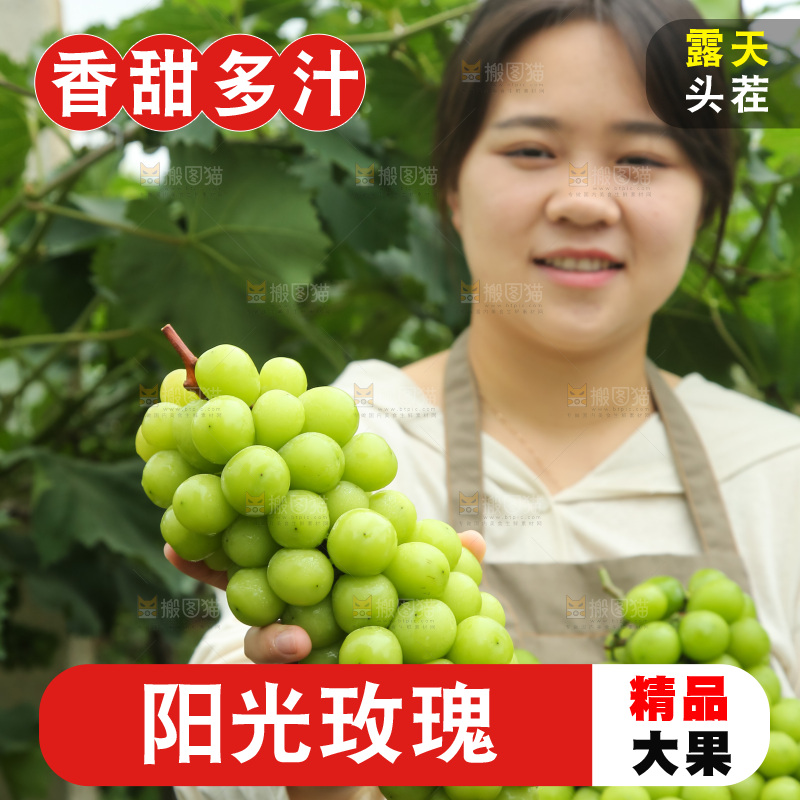 手里拿着阳光玫瑰