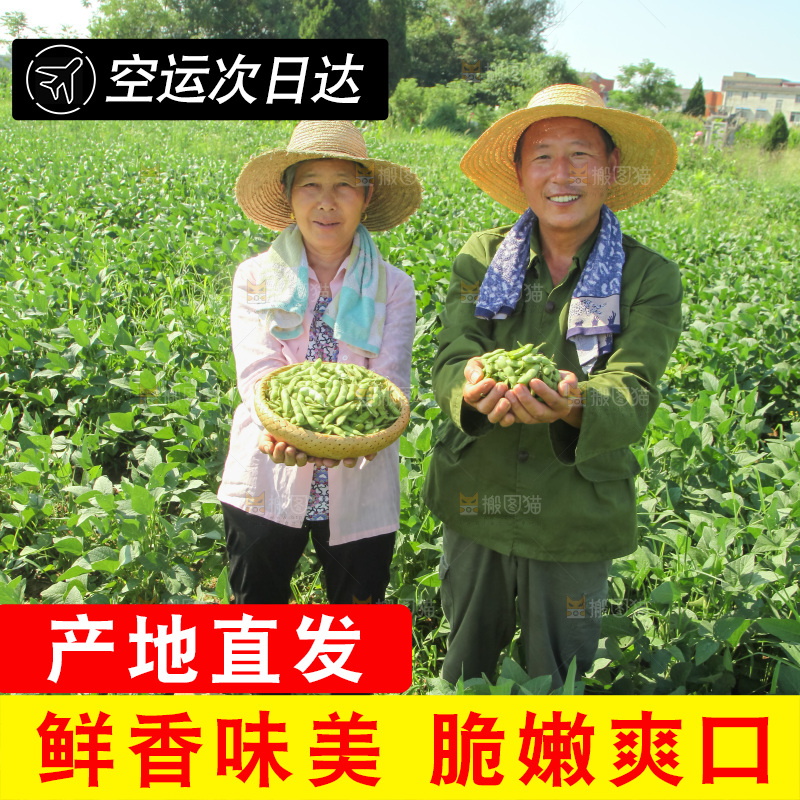 手里拿着现摘毛豆