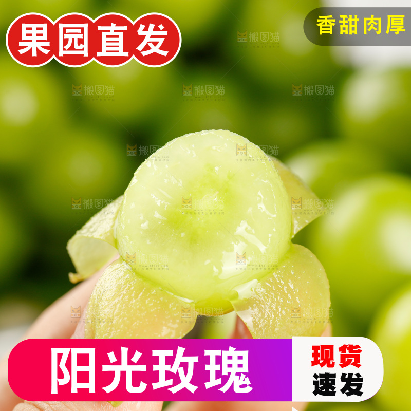 浅底上的阳光玫瑰青提