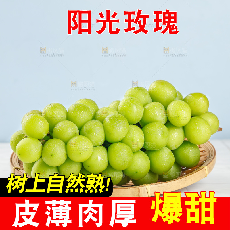 浅底上的阳光玫瑰青提