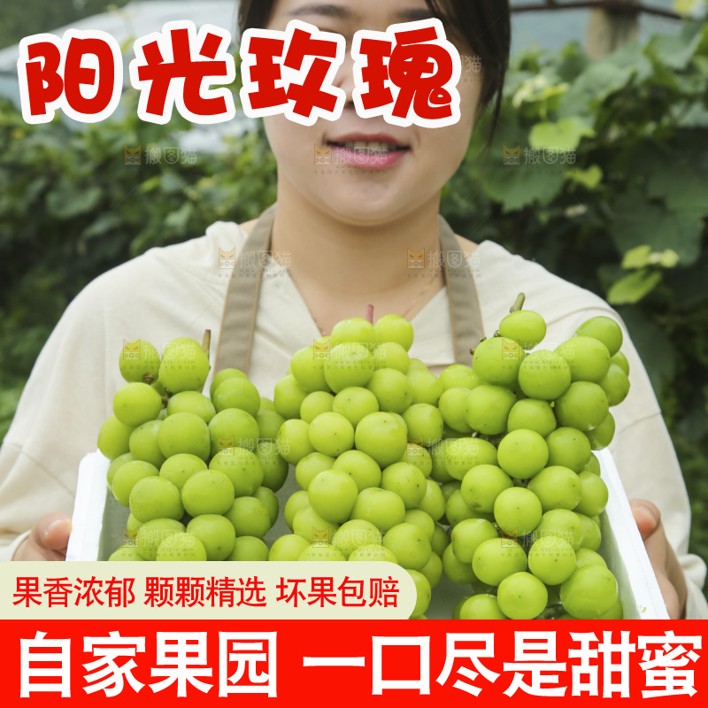 手里拿着阳光玫瑰