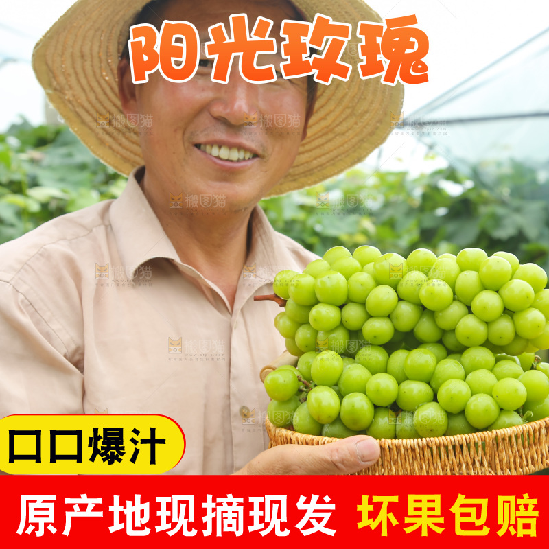 手里拿着阳光玫瑰