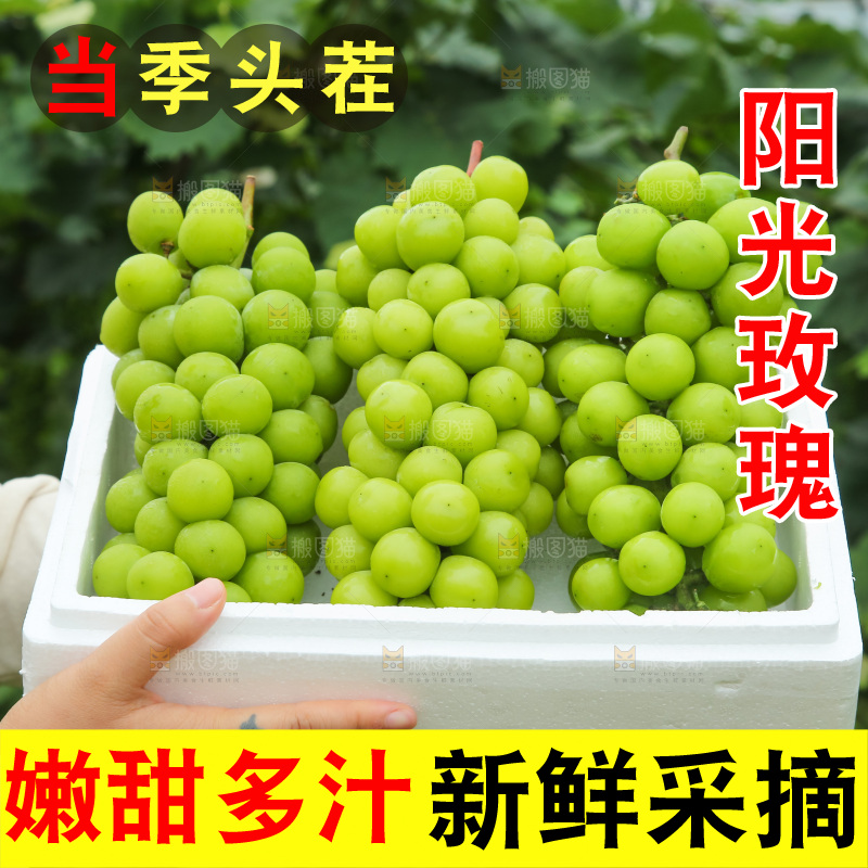手里拿着阳光玫瑰