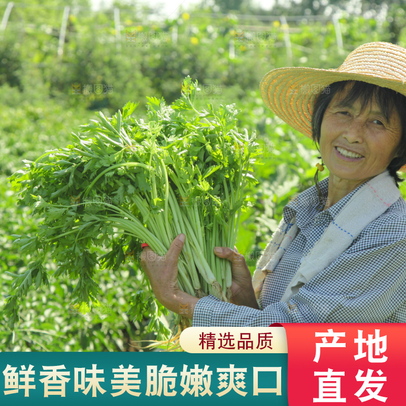 手里拿着新鲜芹菜