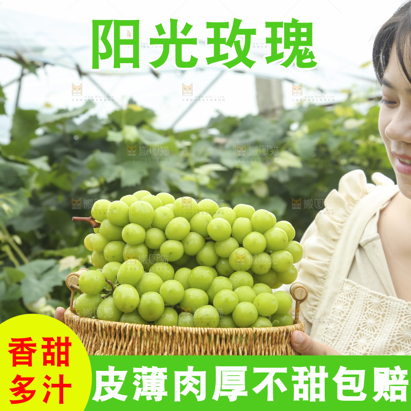 手里拿着阳光玫瑰