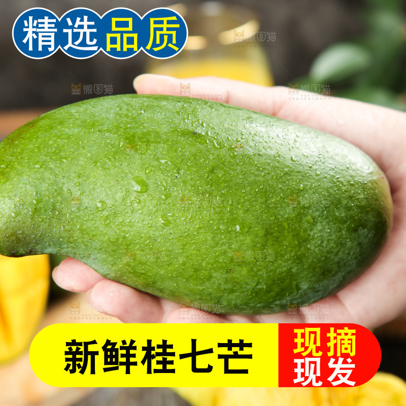 深底上的桂七芒