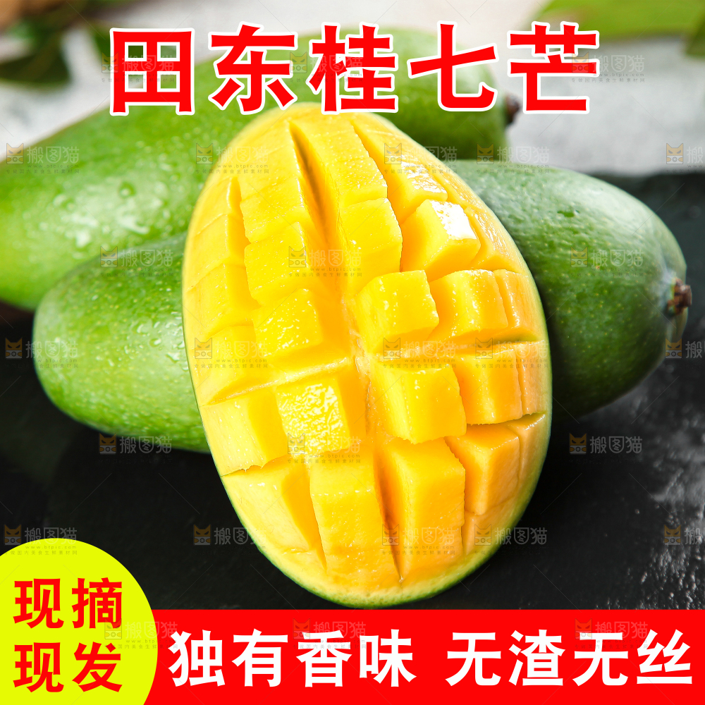 桂七芒主图