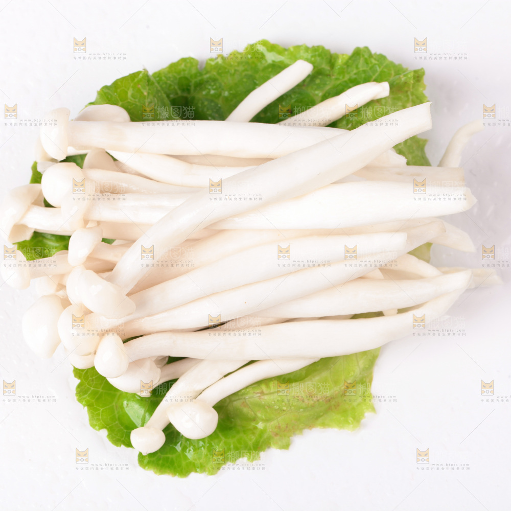 白底上的海鲜菇