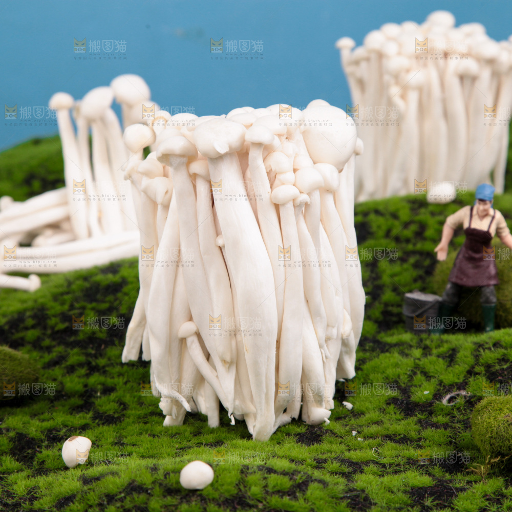 深底上的海鲜菇
