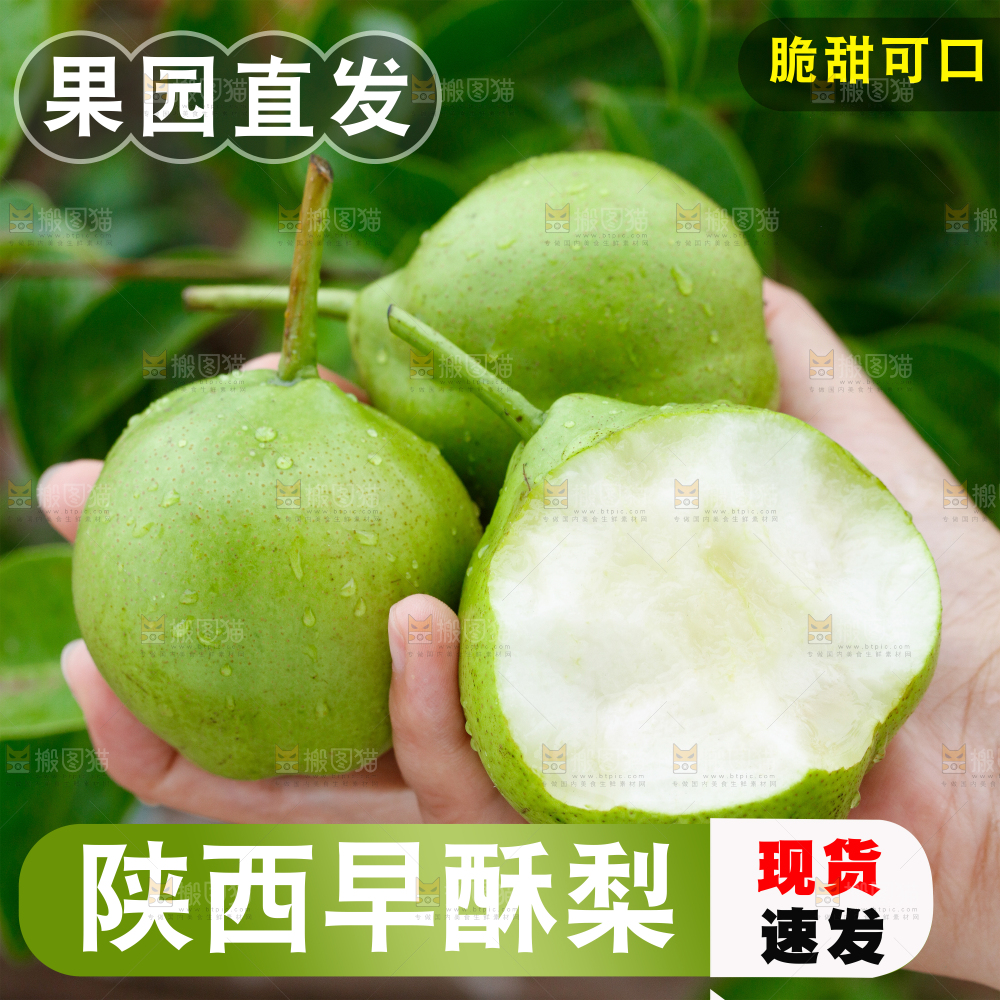 早酥梨主图