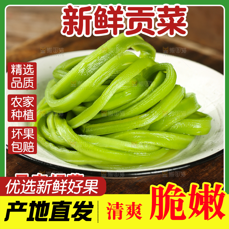 贡菜主图