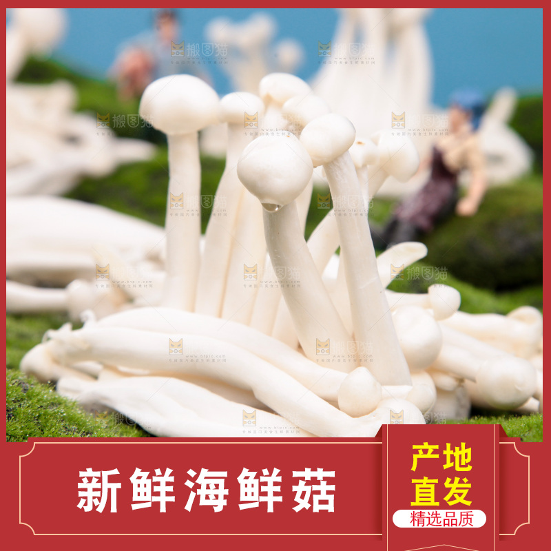 深底上的海鲜菇