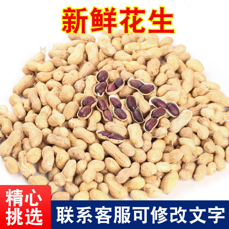 白底上的黑皮花生