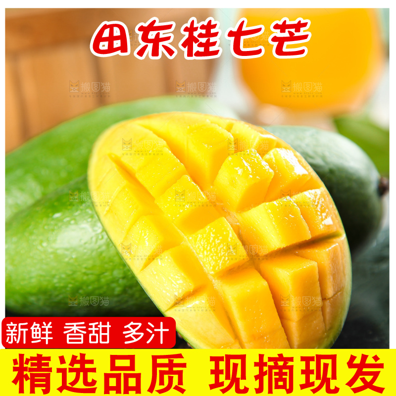 深底上的桂七芒