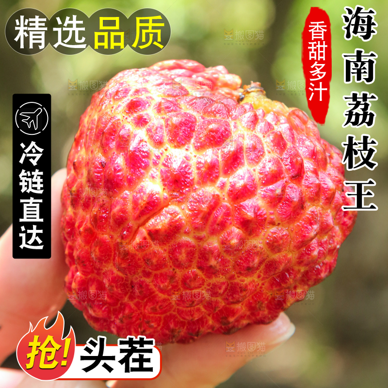 手里拿着荔枝王