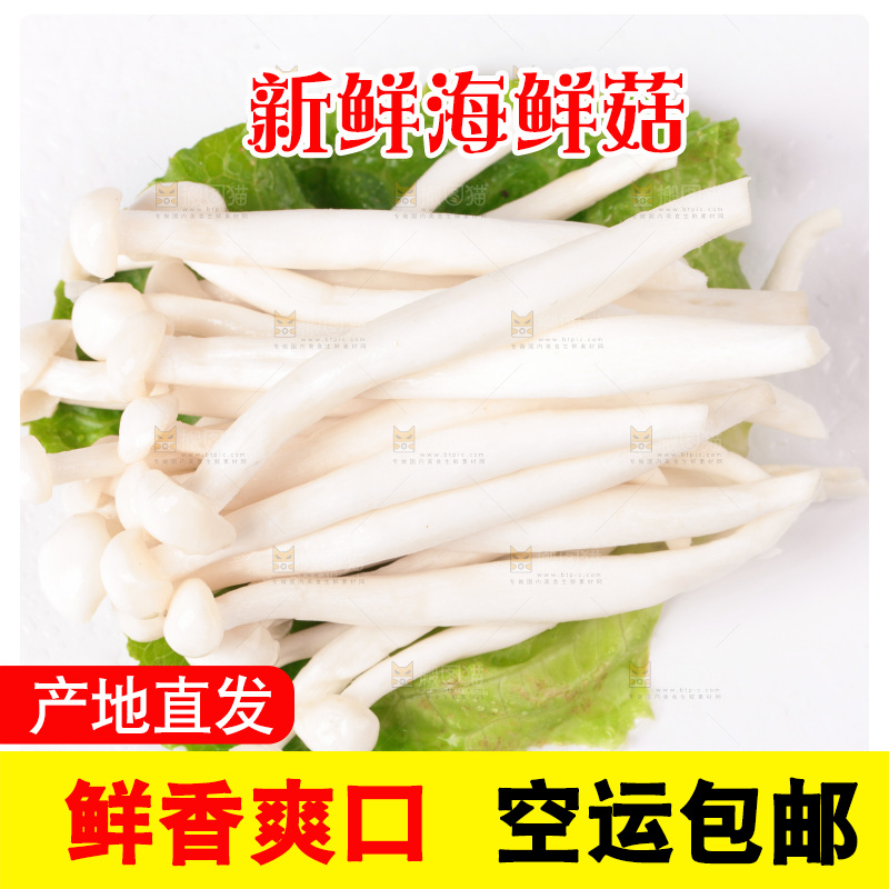 白底上的海鲜菇