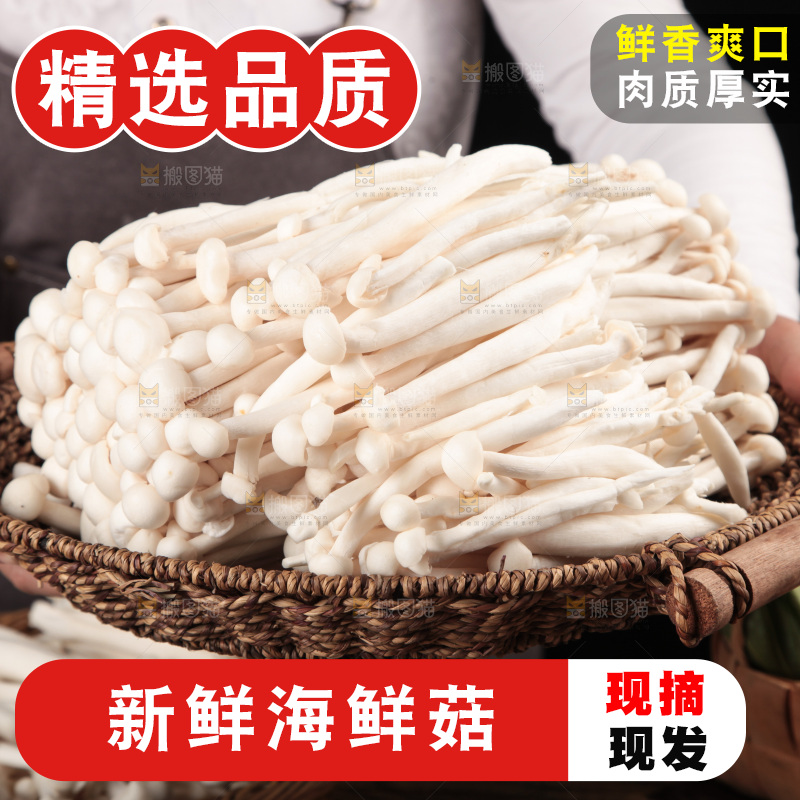深底上的海鲜菇
