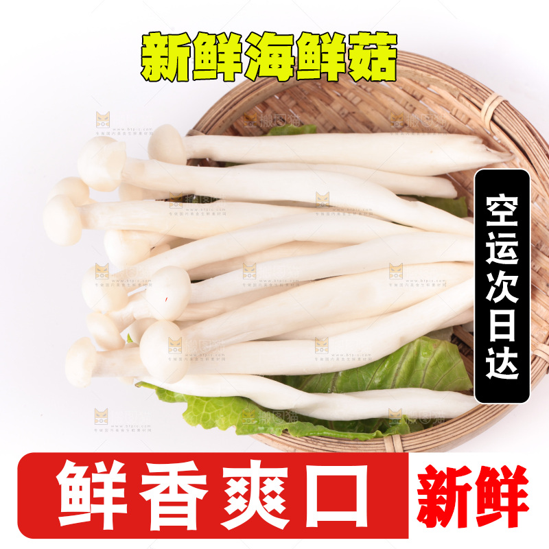 白底上的海鲜菇