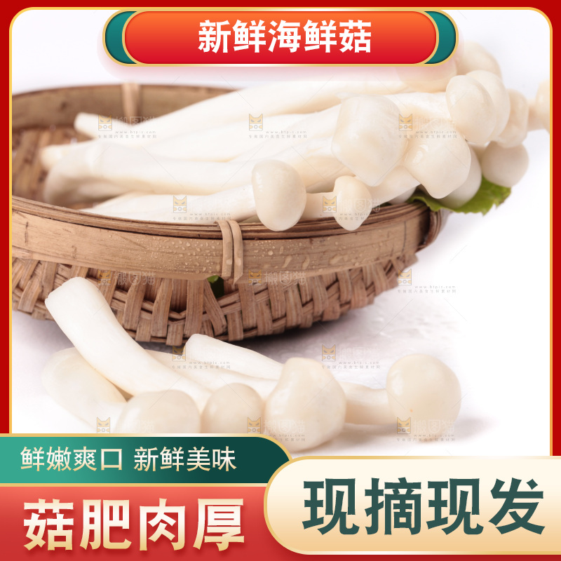 白底上的海鲜菇