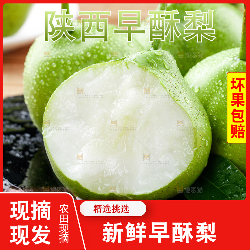 早酥梨主图