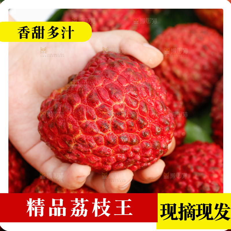 手里拿着荔枝王