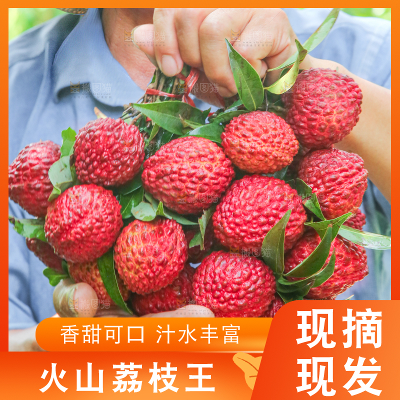 手里拿着荔枝王