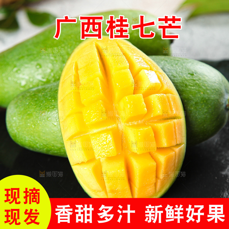 深底上的桂七芒
