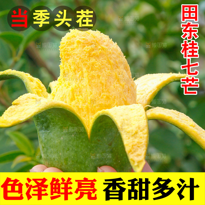 深底上的桂七芒