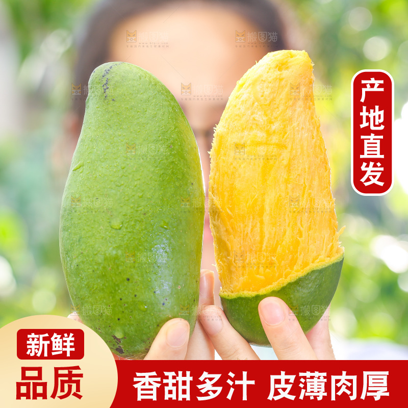 浅底上的桂七芒